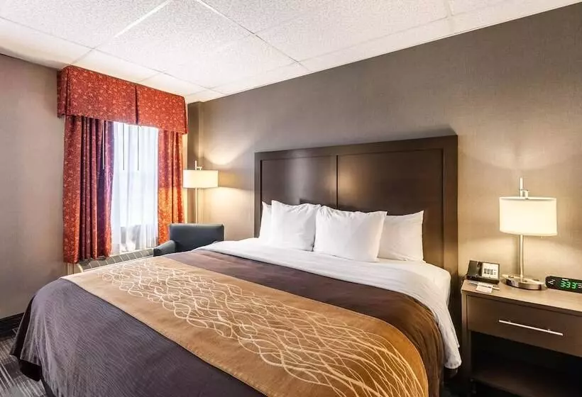 سوییت, Comfort Inn Ballston