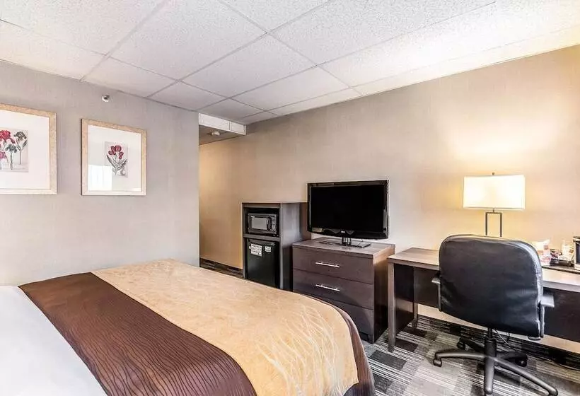 سوییت, Comfort Inn Ballston