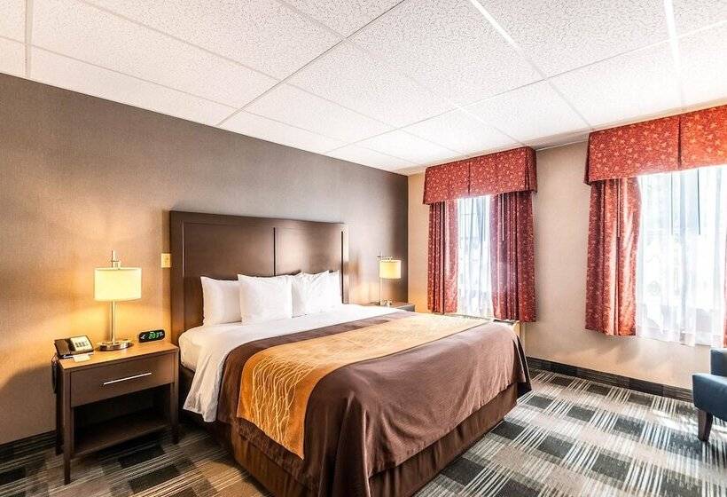 스위트, Comfort Inn Ballston