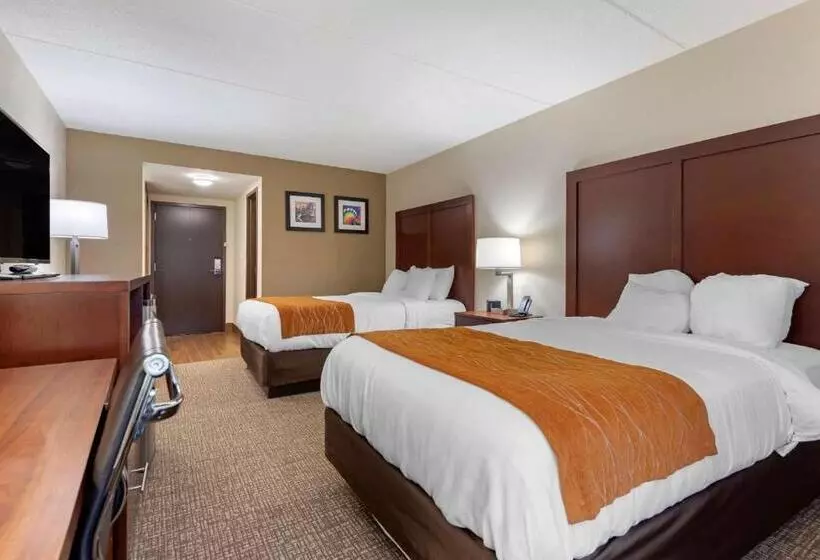 اتاق استاندارد با 2 تخت دوبل, Comfort Inn Binghamton I81