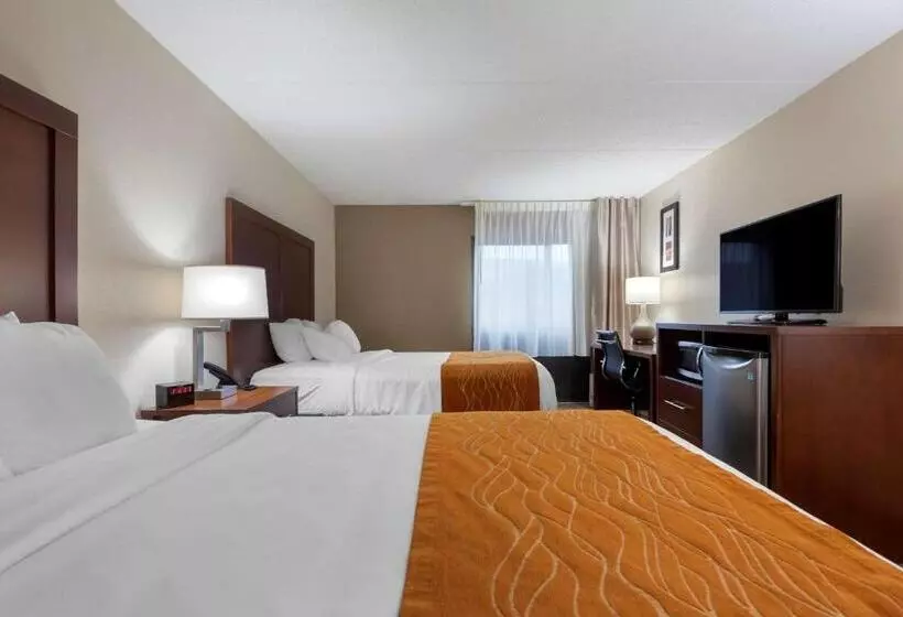 اتاق استاندارد با 2 تخت دوبل, Comfort Inn Binghamton I81