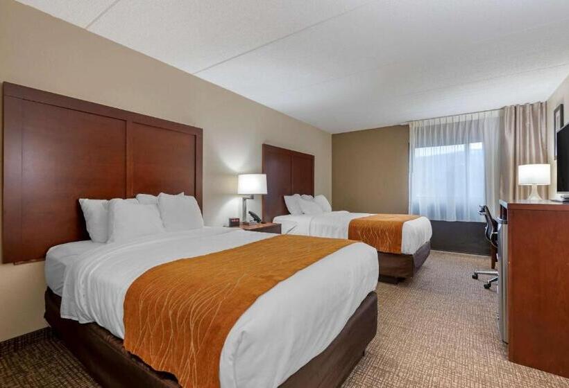 Номер Стандарт 2 Двуспальные Кровати, Comfort Inn Binghamton I81