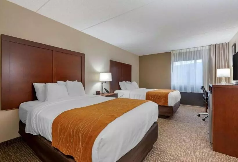 اتاق استاندارد با 2 تخت دوبل, Comfort Inn Binghamton I81