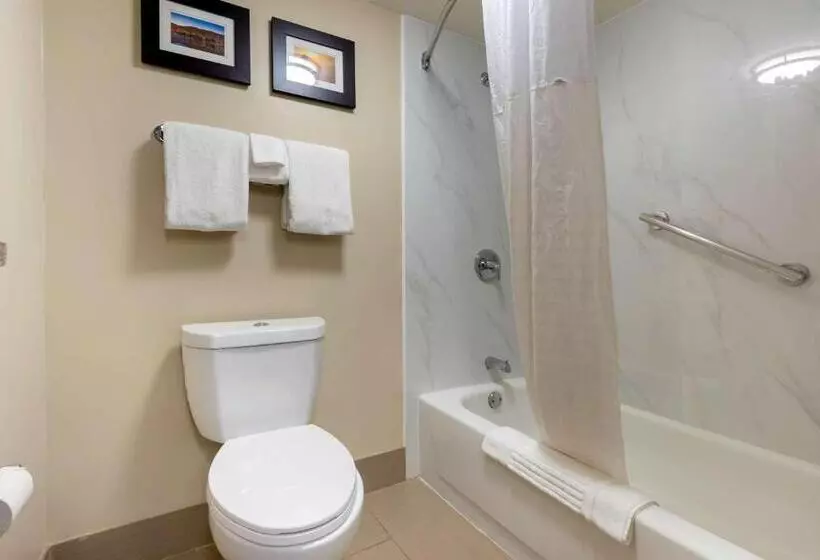 اتاق استاندارد با تخت بزرگ, Comfort Inn Binghamton I81