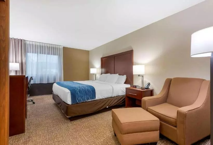 اتاق استاندارد با تخت بزرگ, Comfort Inn Binghamton I81