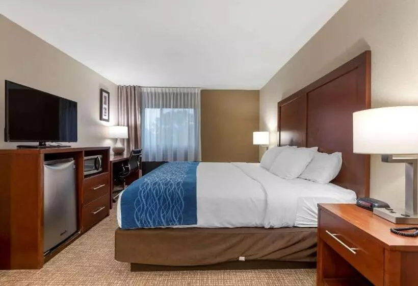 اتاق استاندارد با تخت بزرگ برای معلولان, Comfort Inn Binghamton I81