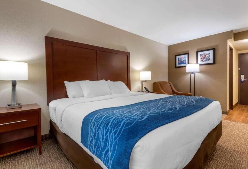 Номер Стандарт Кровать Кинг Адаптированный для Инвалидов, Comfort Inn Binghamton I81