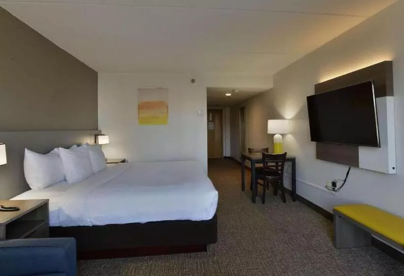 Standard-huone King-vuode, Comfort Inn Gold Coast