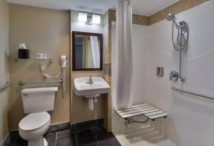 Standard-invahuone, Comfort Inn Gold Coast