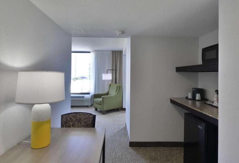 Mini Suite, Comfort Inn Gold Coast