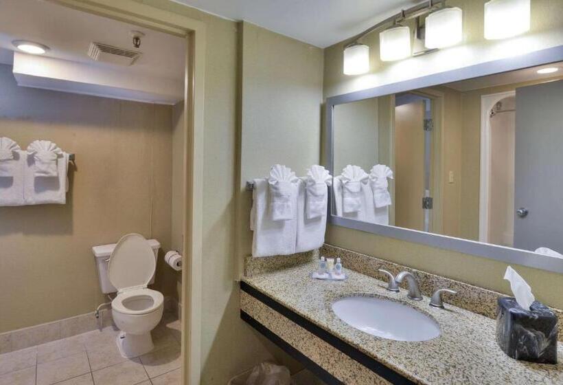 Mini Suite, Comfort Inn Gold Coast