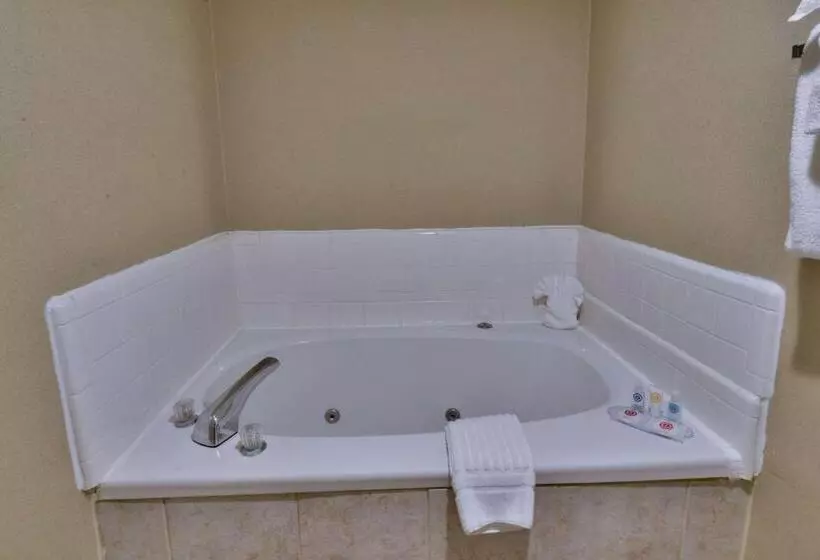 Mini Suite, Comfort Inn Gold Coast