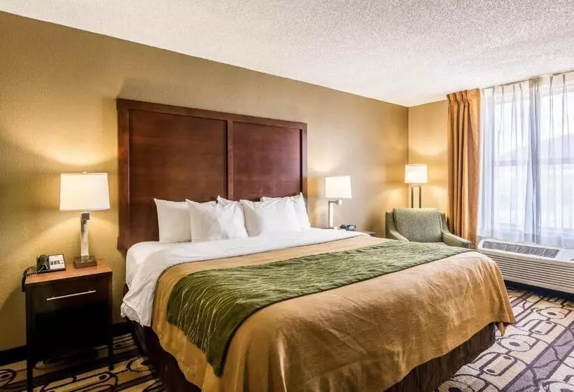 اتاق استاندارد با تخت بزرگ, Comfort Inn & Suites