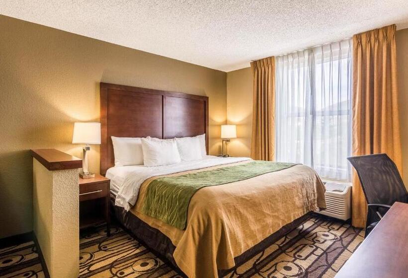 غرفة قياسية سرير كينج, Comfort Inn & Suites