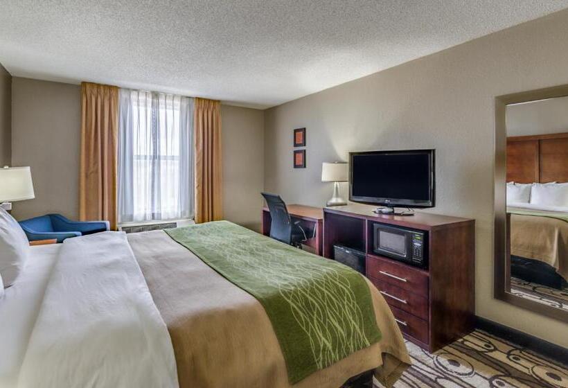 غرفة قياسية سرير كينج, Comfort Inn & Suites