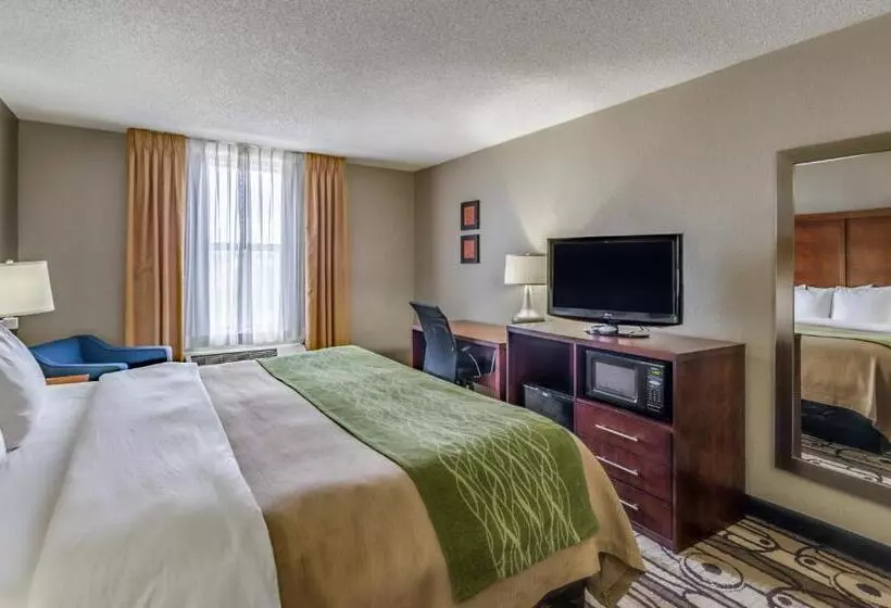 اتاق استاندارد با تخت بزرگ, Comfort Inn & Suites