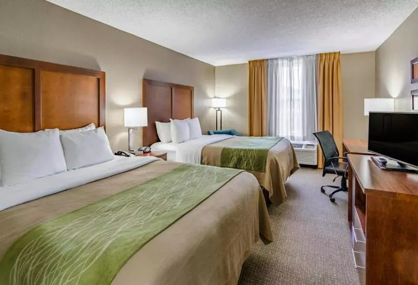 اتاق استاندارد, Comfort Inn & Suites