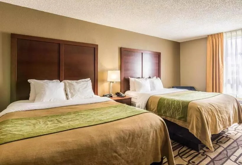 اتاق استاندارد, Comfort Inn & Suites