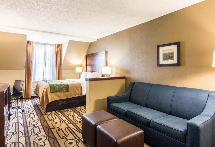 Номер Стандарт, Comfort Inn & Suites