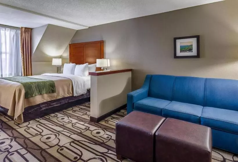 اتاق استاندارد, Comfort Inn & Suites