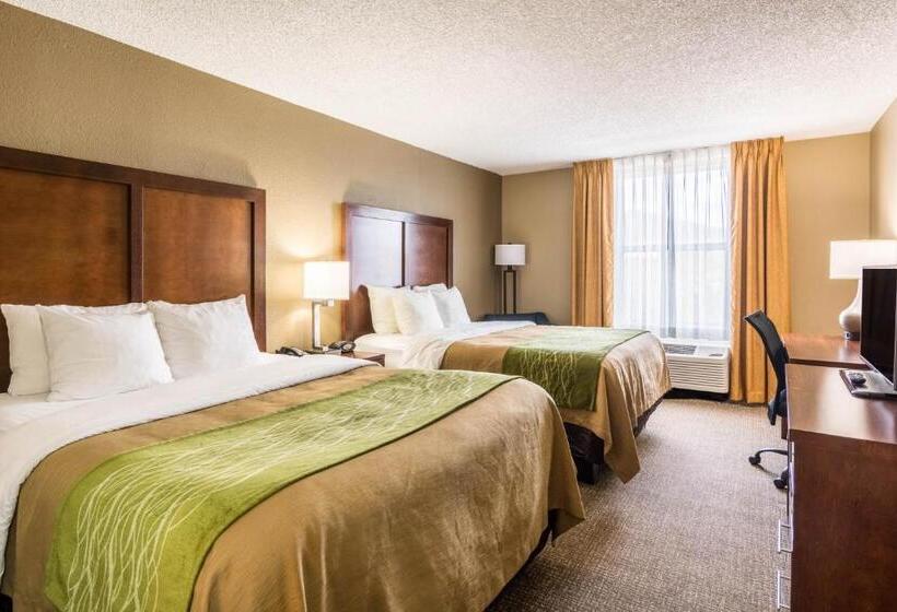 غرفة قياسية, Comfort Inn & Suites