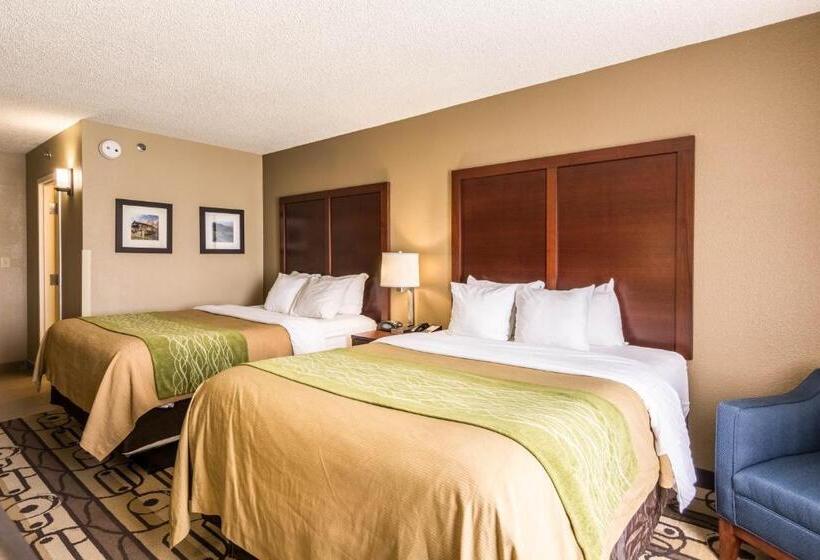 غرفة قياسية, Comfort Inn & Suites