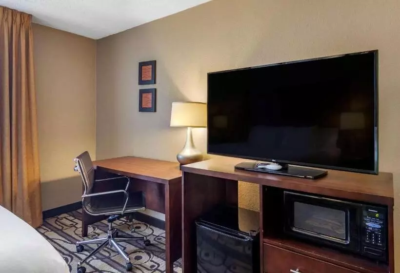 اتاق استاندارد با تخت بزرگ برای معلولان, Comfort Inn & Suites