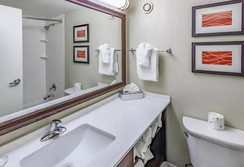 اتاق استاندارد با تخت بزرگ برای معلولان, Comfort Inn & Suites