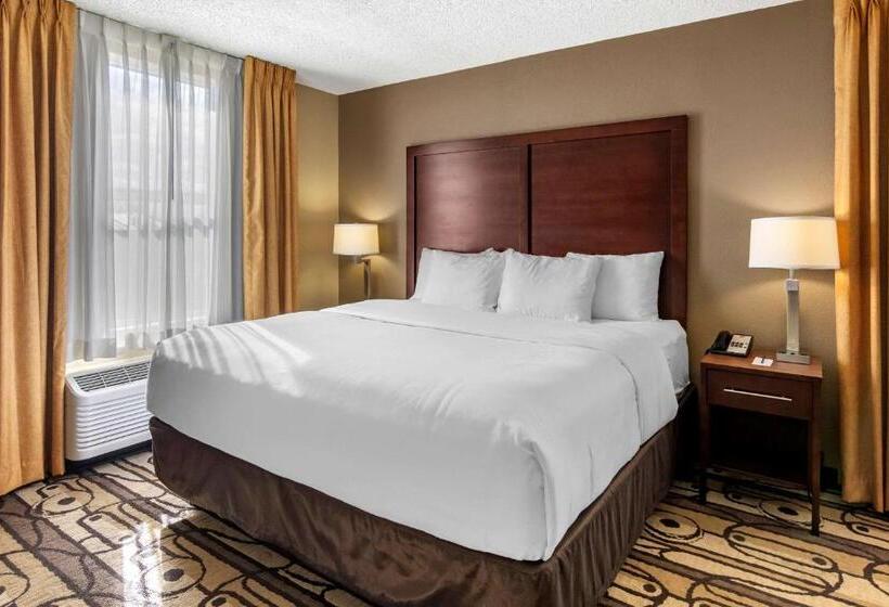 Номер Стандарт Кровать Кинг Адаптированный для Инвалидов, Comfort Inn & Suites