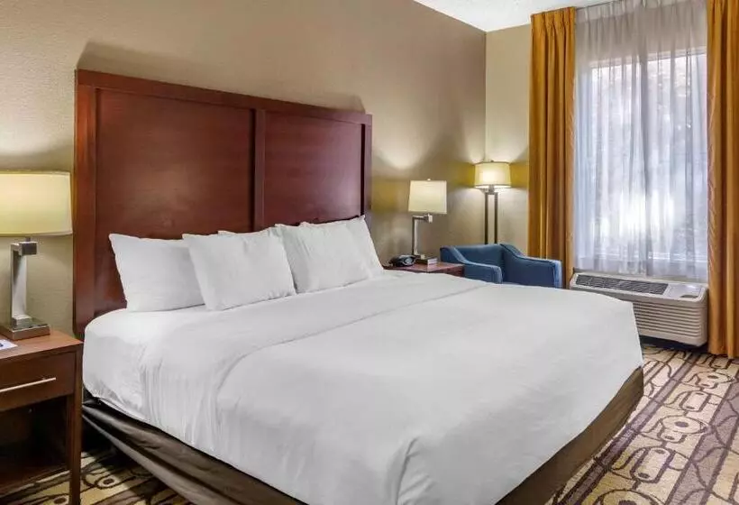 اتاق استاندارد با تخت بزرگ برای معلولان, Comfort Inn & Suites