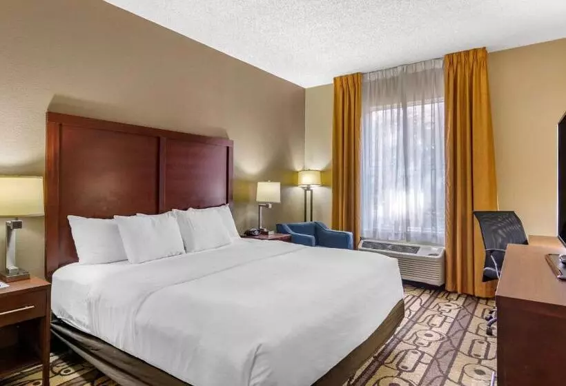 اتاق استاندارد با تخت بزرگ برای معلولان, Comfort Inn & Suites