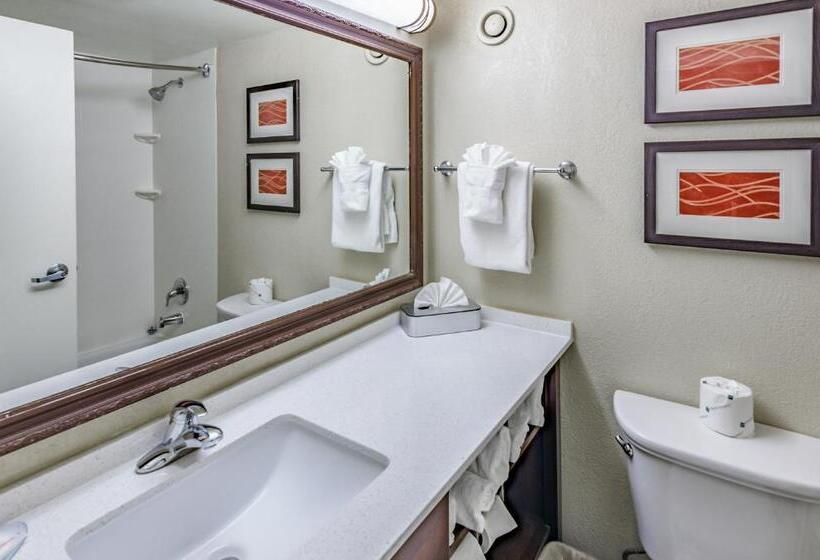 غرفة قياسية لذوى الاحتياجات الخاصة, Comfort Inn & Suites