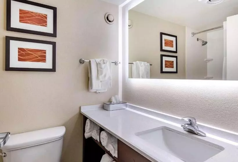 اتاق استاندارد چهار تخته, Comfort Inn & Suites