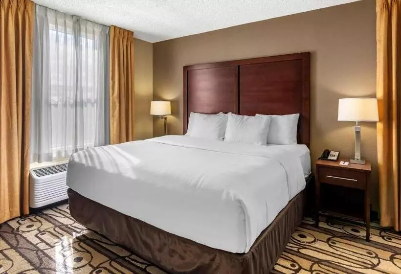 سوئیت با تخت بزرگ, Comfort Inn & Suites
