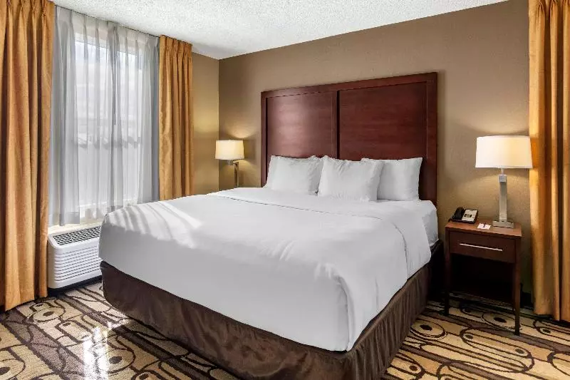سوئیت با تخت بزرگ, Comfort Inn & Suites