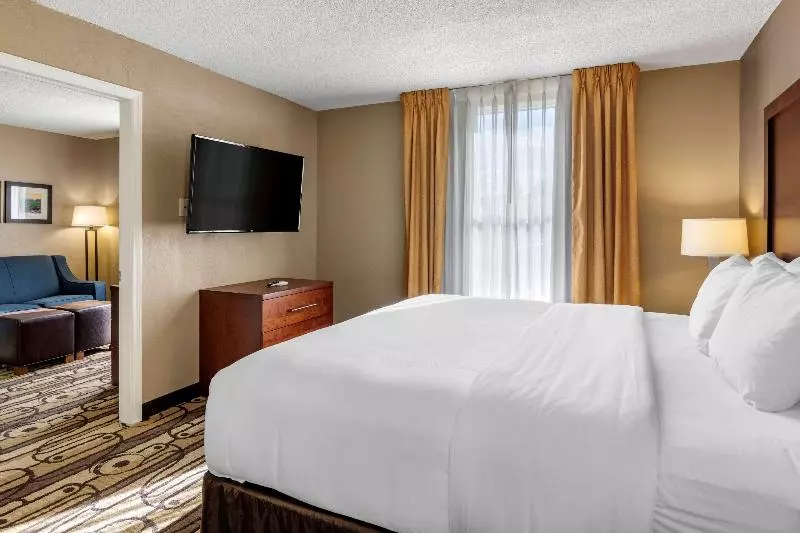 سوئیت با تخت بزرگ, Comfort Inn & Suites