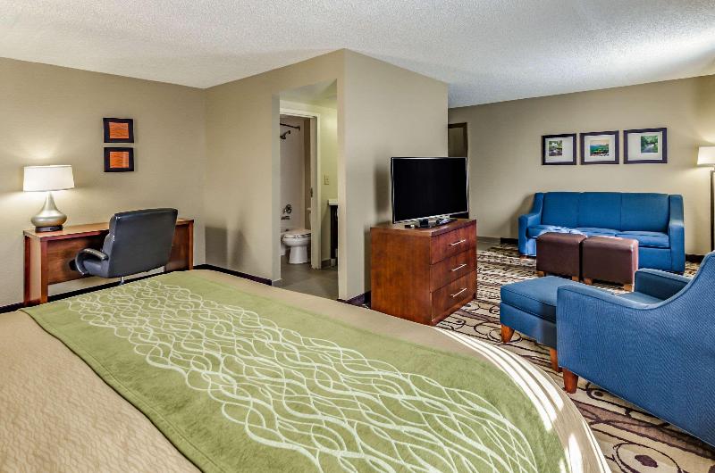 جناح سرير كينج, Comfort Inn & Suites