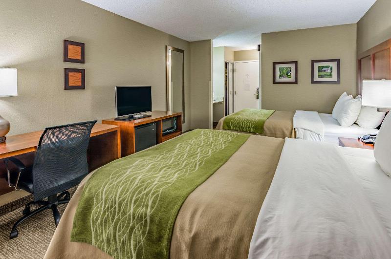 Четырехместный Номер Стандарт, Comfort Inn & Suites