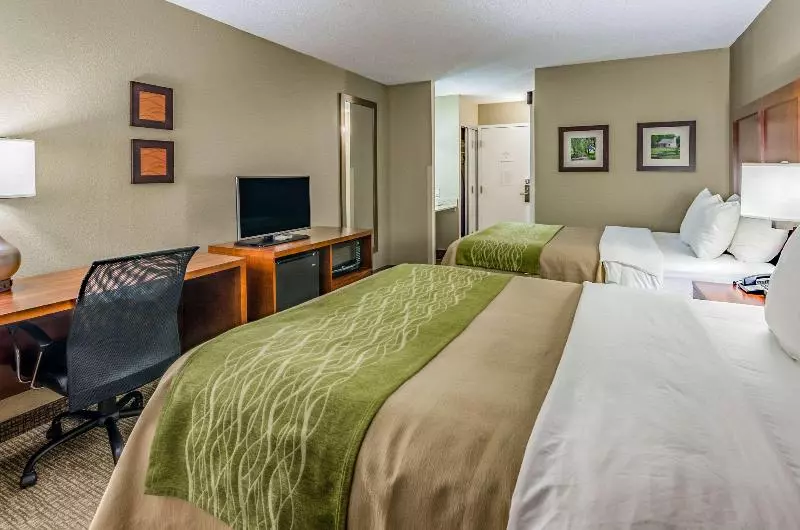 اتاق استاندارد چهار تخته, Comfort Inn & Suites