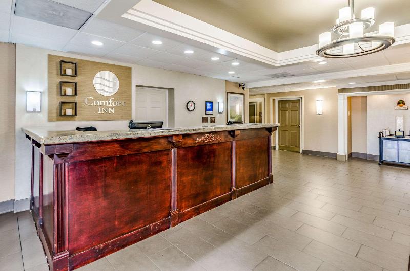 غرفة قياسية رباعية, Comfort Inn & Suites