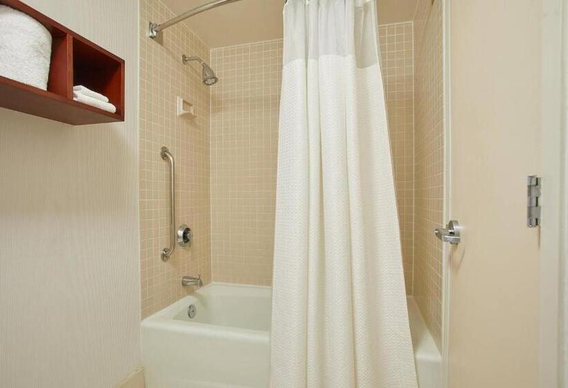 스탠다드 룸 킹사이즈 침대, Courtyard By Marriott Atlanta Windy Hill/ballpark