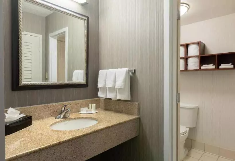 ２ダブルベッドのスタンダードルーム, Courtyard By Marriott Atlanta Windy Hill/ballpark