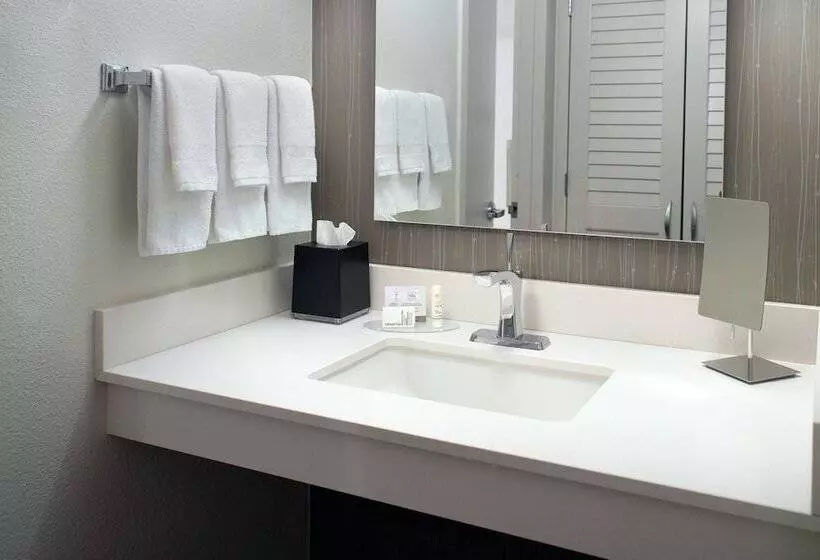 سوییت, Courtyard By Marriott Atlanta Airport South/sullivan Road