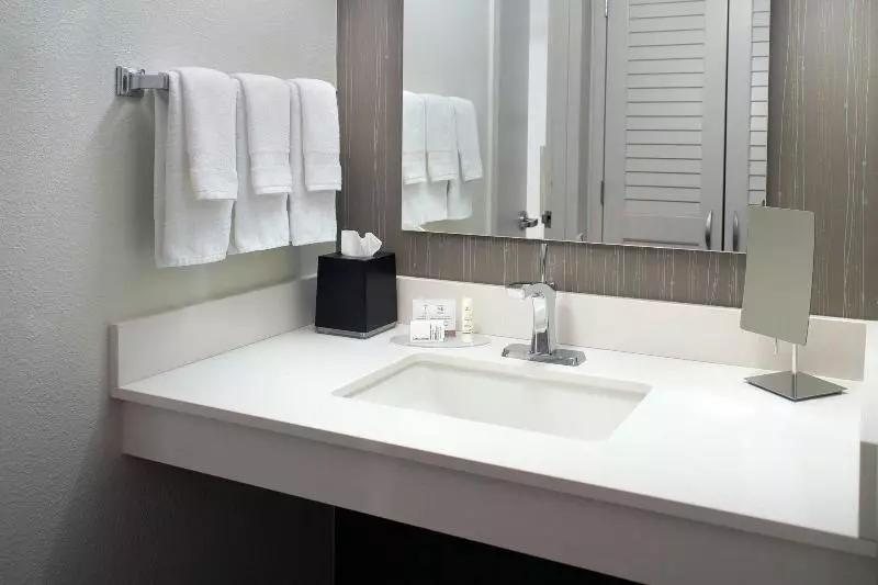 اتاق استاندارد با تخت بزرگ, Courtyard By Marriott Atlanta Airport South/sullivan Road