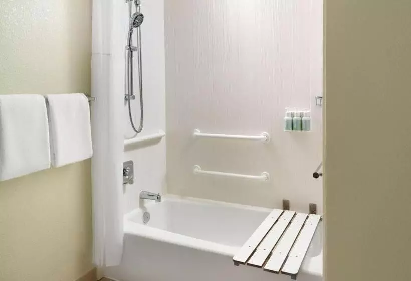 اتاق استاندارد با تخت بزرگ, Courtyard By Marriott Atlanta Airport South/sullivan Road