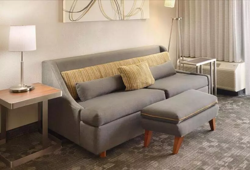 سوئیت با تخت بزرگ, Courtyard By Marriott Atlanta Airport South/sullivan Road