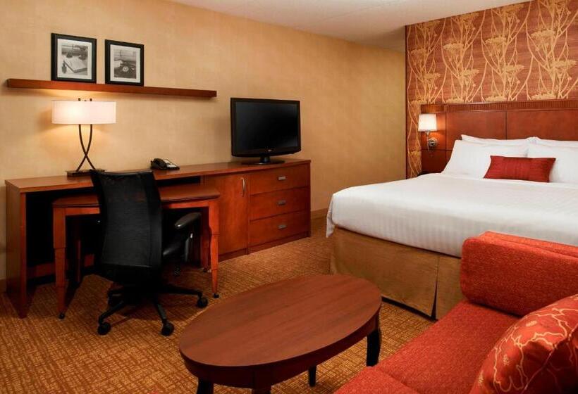 اتاق استاندارد با تخت بزرگ, Courtyard Chicago Arlington Heights/south