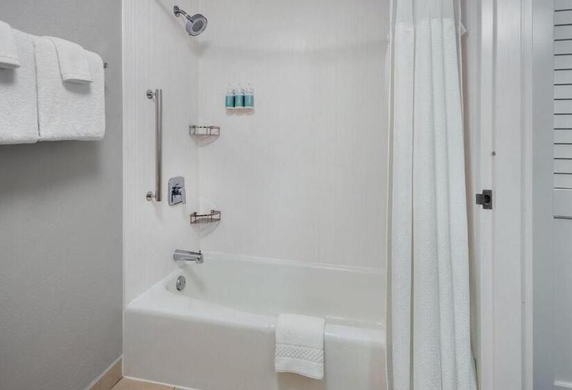 غرفة قياسية سرير كينج, Courtyard By Marriott New Carrollton Landover