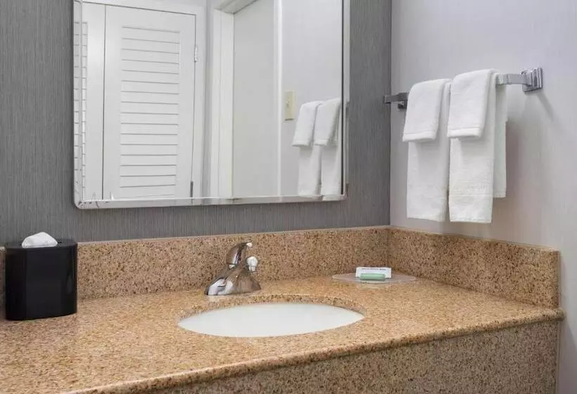 スタンダードルーム, Courtyard By Marriott New Carrollton Landover