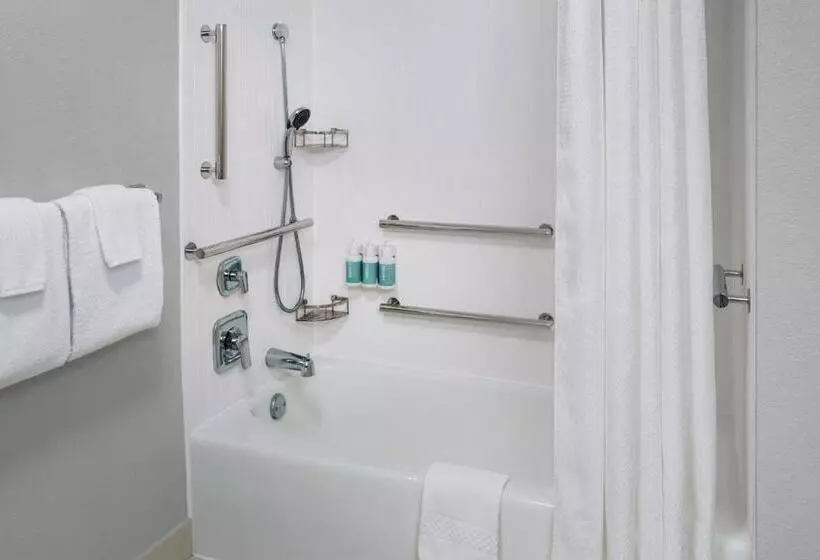 身障者適用キングサイズベッドルーム, Courtyard By Marriott New Carrollton Landover